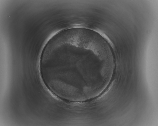 X0000111121333200906301303