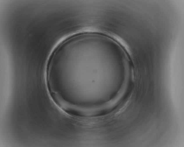 X0000111121334200906301303