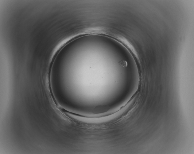 X0000111121336200906301303