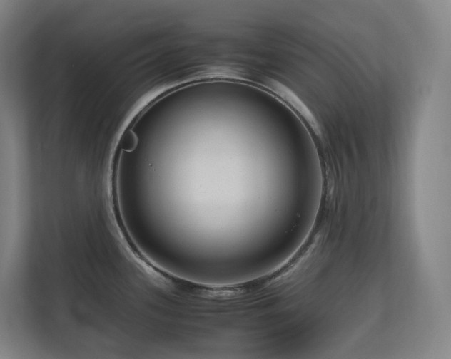 X0000111121339200906301303