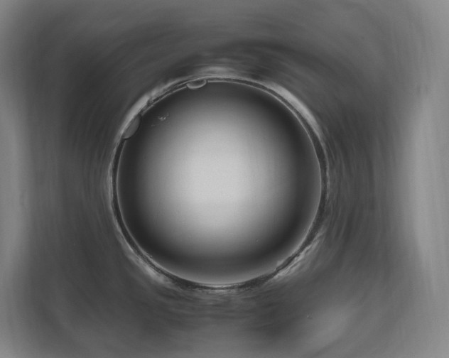 X0000111121341200906301303