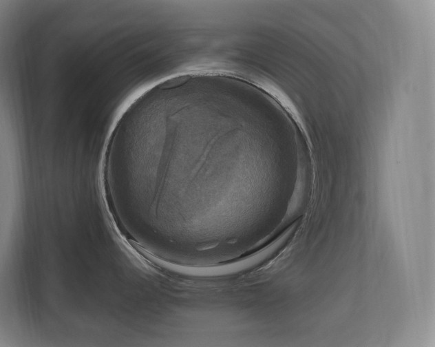 X0000111121344200906301303