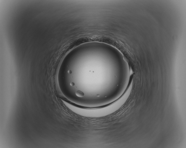 X0000111121345200906301302