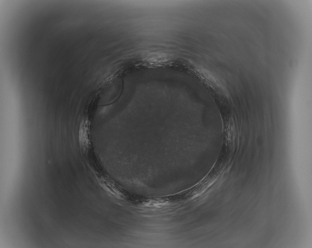 X0000111121346200906301302