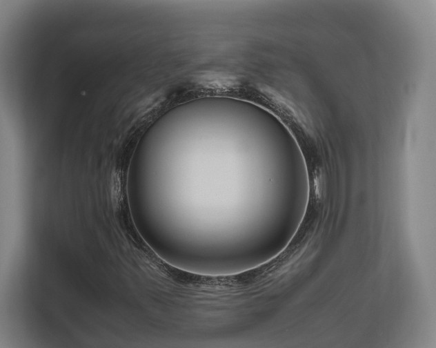 X0000111121347200906301302