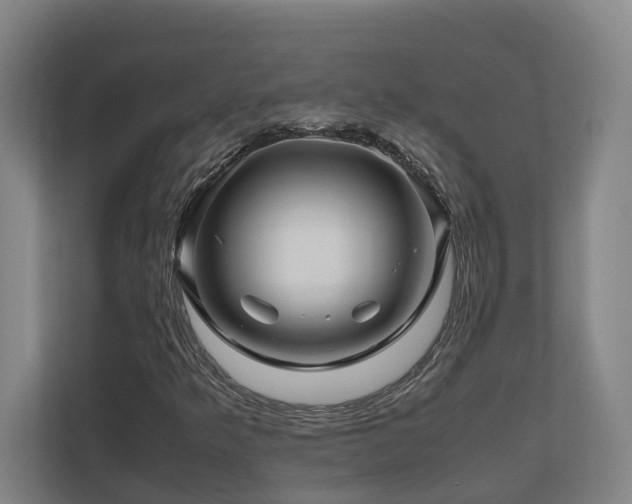 X0000111121349200906301302