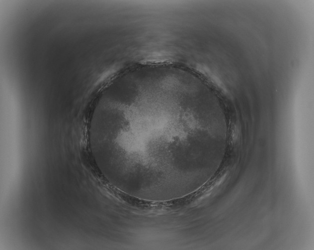 X0000111121350200906301302