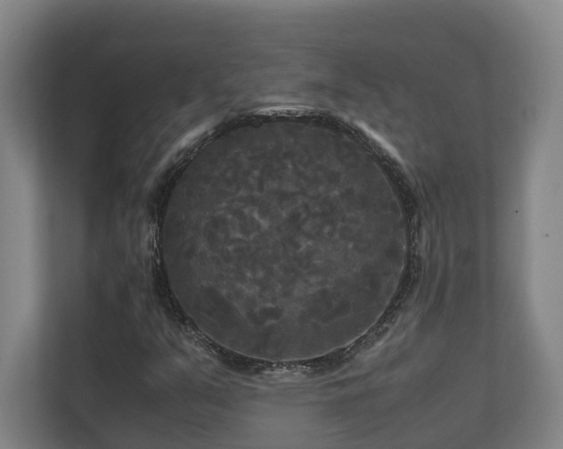 X0000111121351200906301302