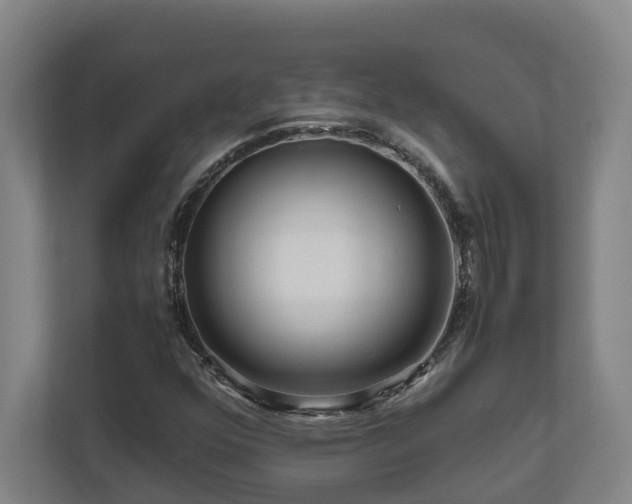 X0000111121352200906301302