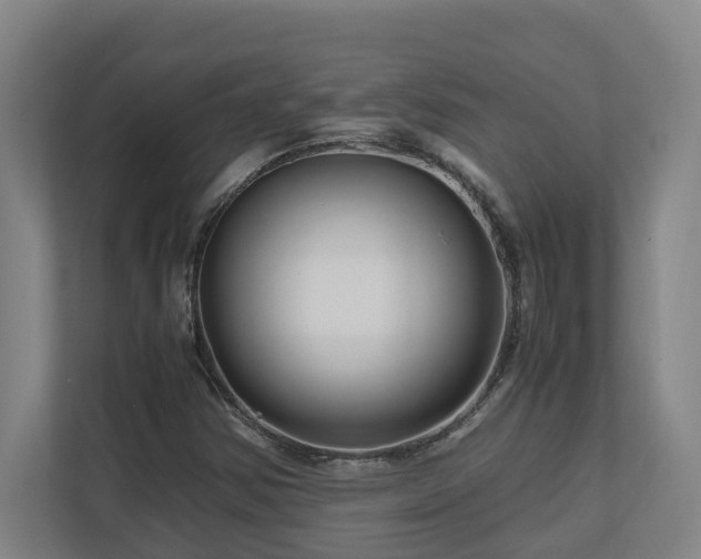 X0000111121354200906301302