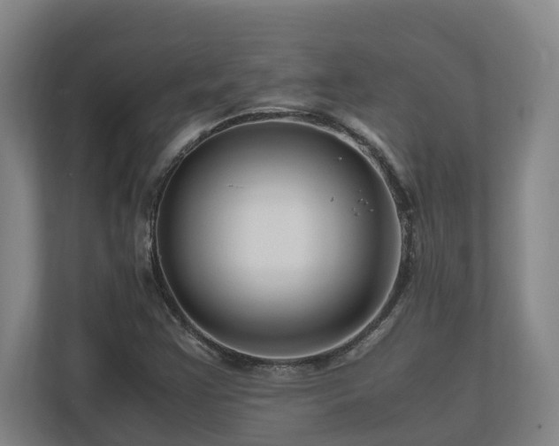 X0000111121355200906301302