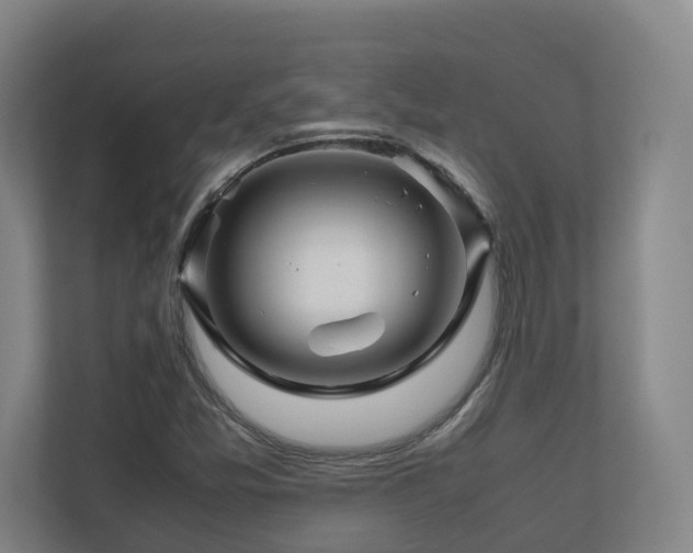 X0000111121357200906301302