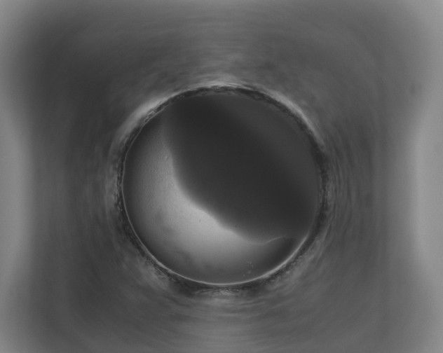 X0000111121359200906301302