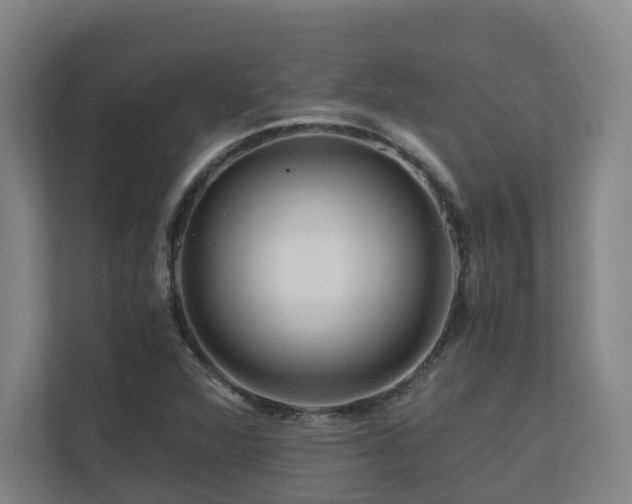 X0000111121360200906301302