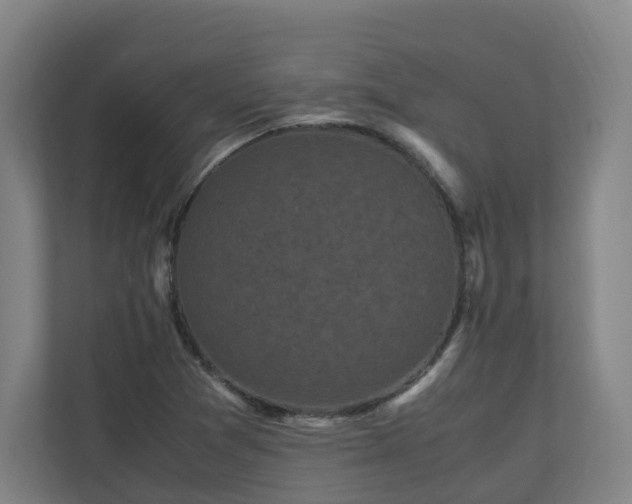 X0000111121361200906301302