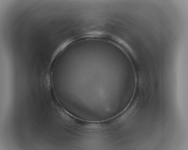 X0000111121362200906301302