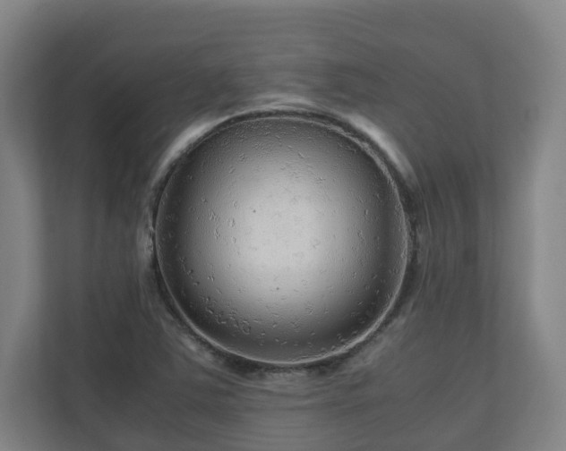 X0000111121363200906301302