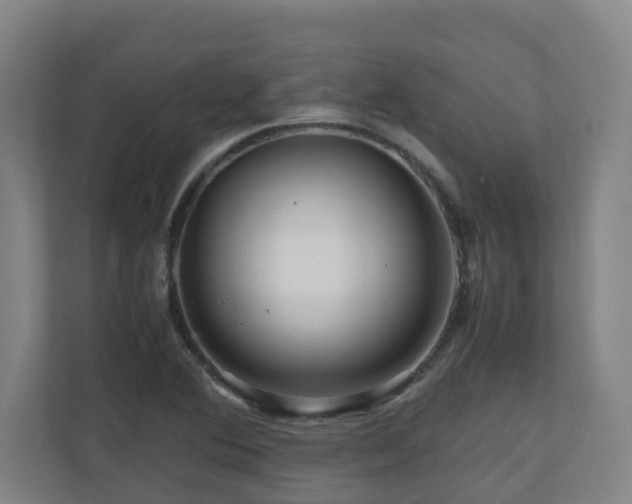 X0000111121364200906301302