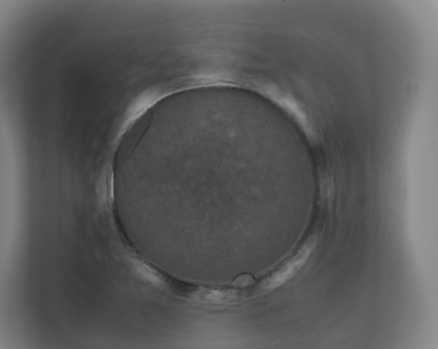 X0000111121365200906301302