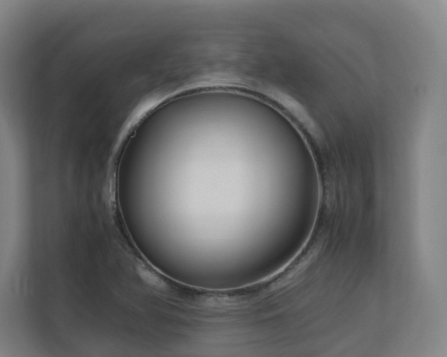 X0000111121366200906301302