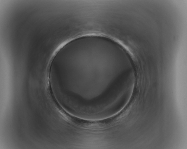 X0000111121367200906301302