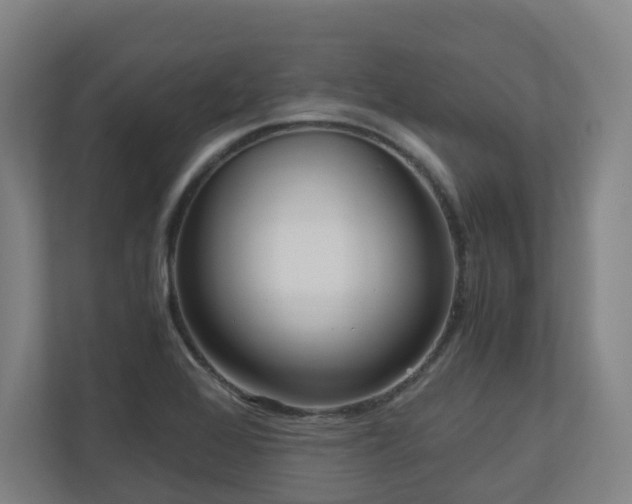 X0000111121368200906301302