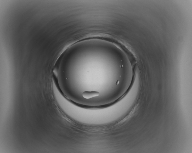 X0000111121369200906301302