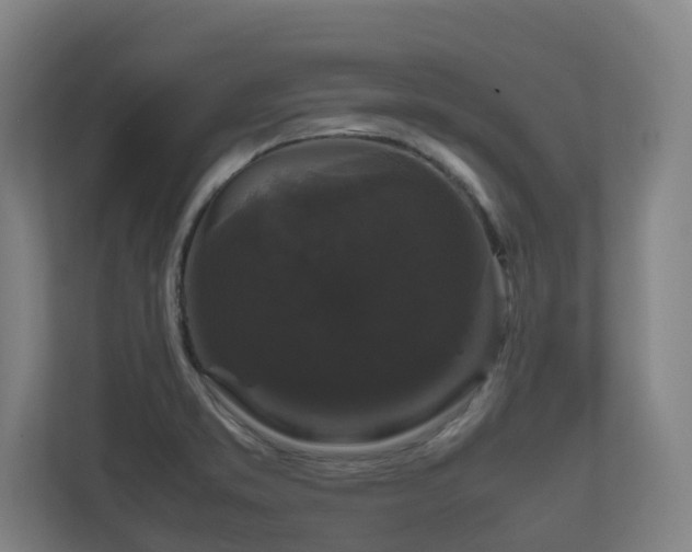 X0000111121373200906301302