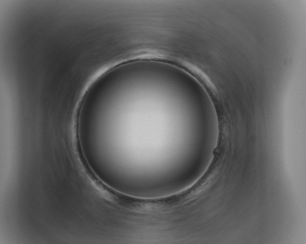 X0000111121375200906301302