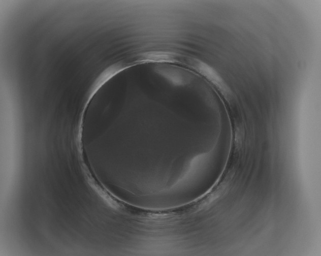 X0000111121378200906301302