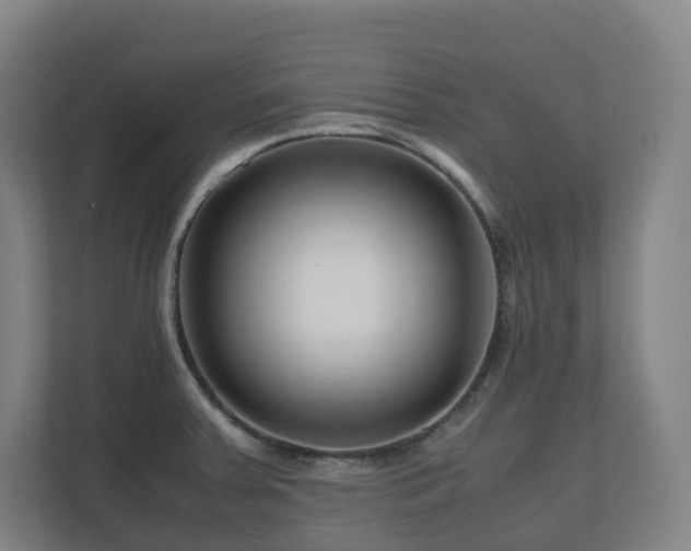 X0000111121379200906301302