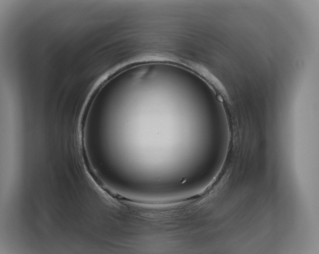 X0000111121380200906301302