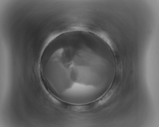 X0000111121381200906301302