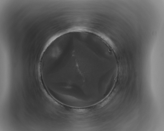 X0000111121382200906301302