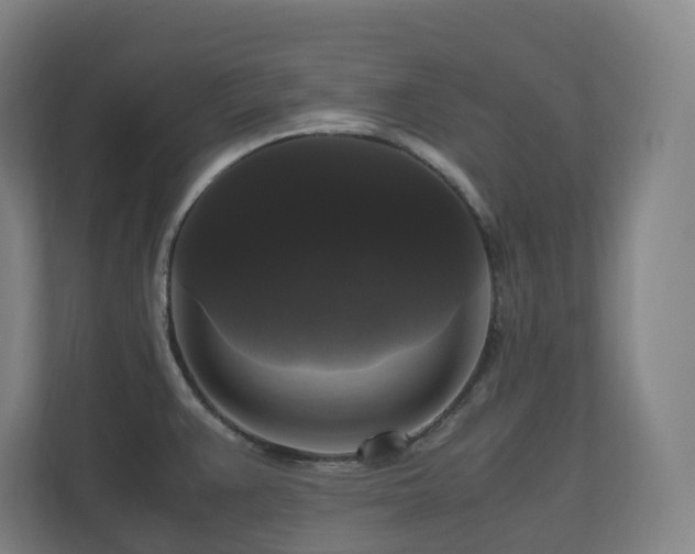 X0000111121383200906301302