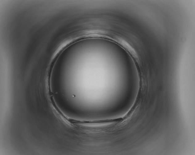 X0000111121384200906301302