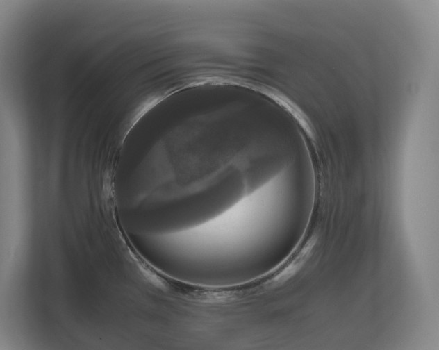 X0000111121385200906301302