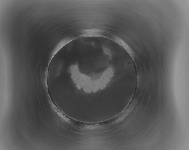 X0000111121386200906301302