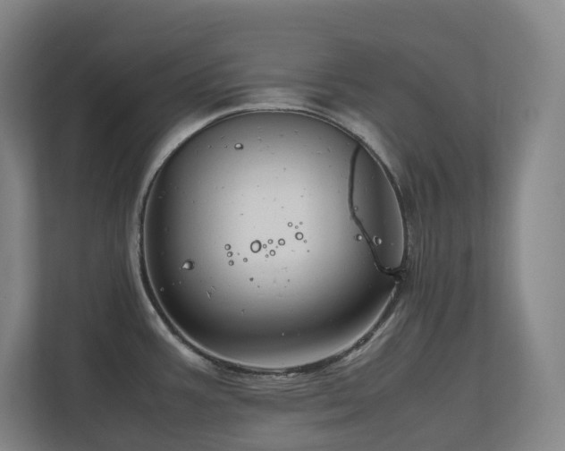 X0000111121387200906301302