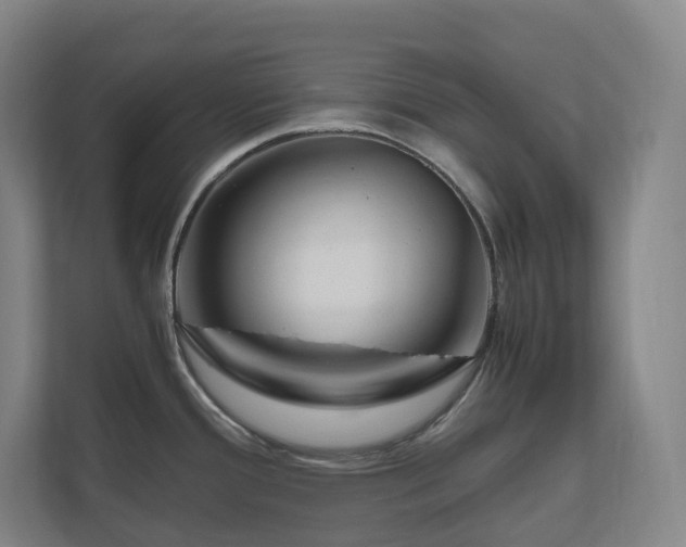 X0000111121388200906301302