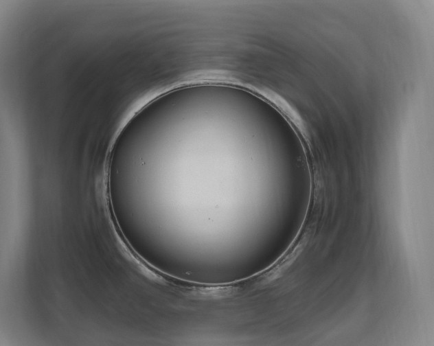 X0000111121390200906301302