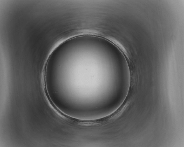 X0000111121391200906301302