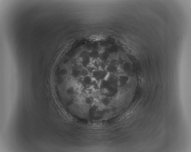X0000111121393200906301301