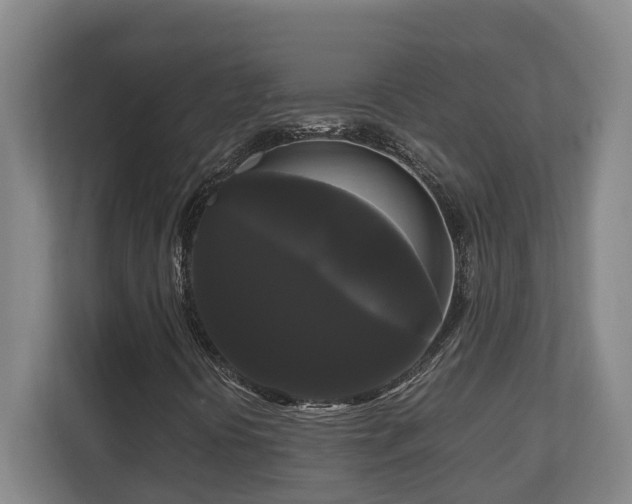 X0000111121394200906301301