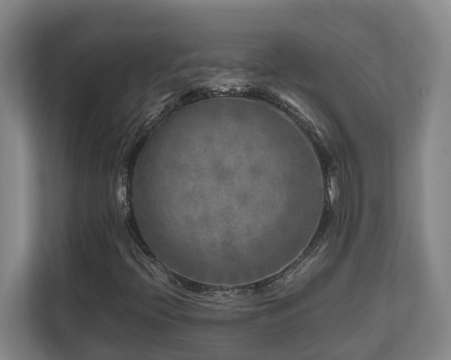 X0000111121396200906301301