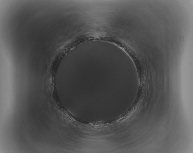 X0000111121398200906301301