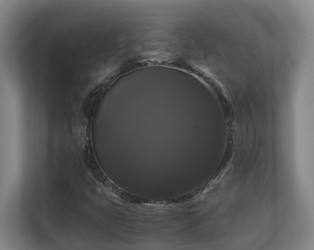 X0000111121399200906301301