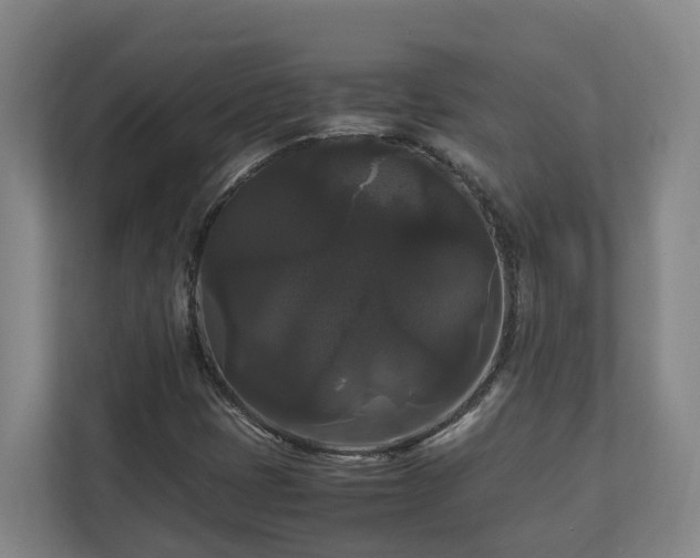 X0000111121401200906301301