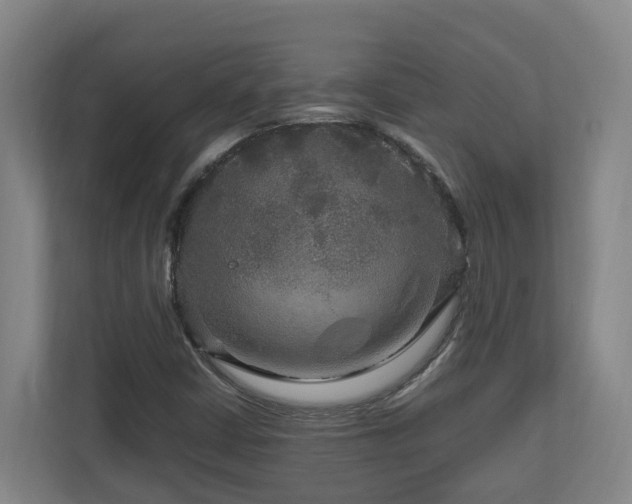 X0000111121402200906301301