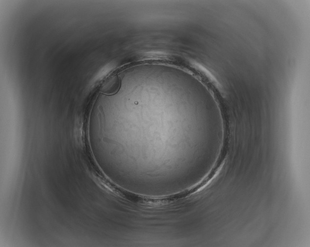 X0000111121403200906301301